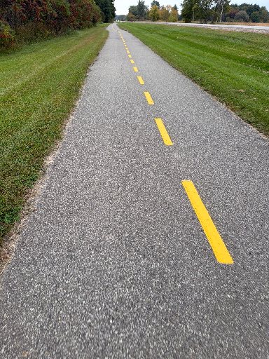 Trail Rider: Dodge & Collect